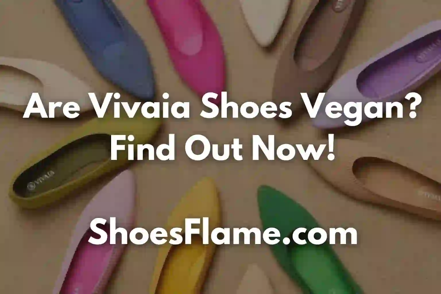 Are Vivaia Shoes Vegan?