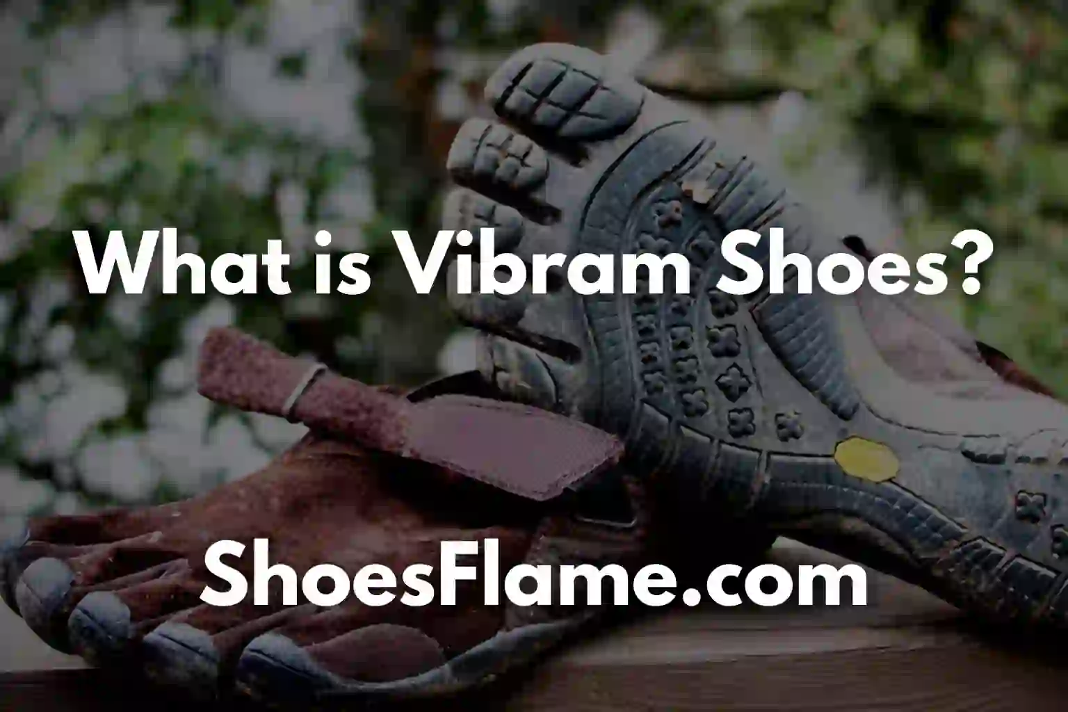 What is Vibram Shoes?