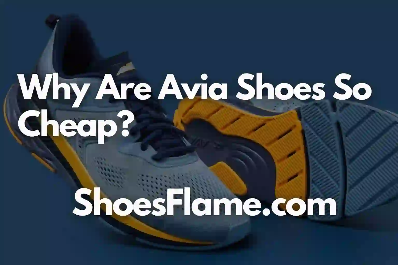 Why Are Avia Shoes So Cheap